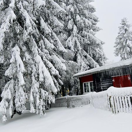 Baude Steinheid Am Rennsteig Mit 12 Betten 외부 사진